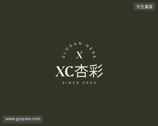 介绍xc-sports